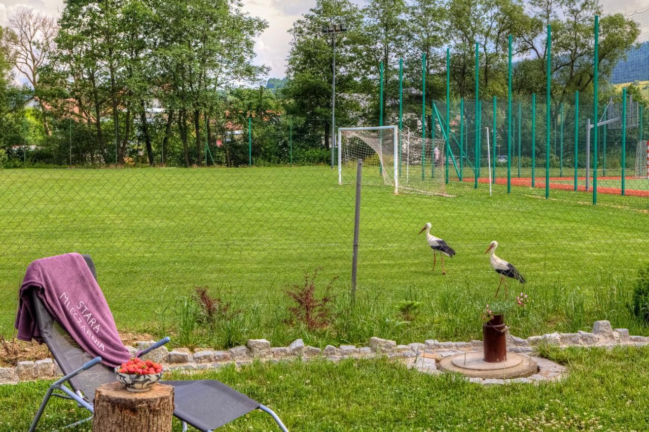 Stara Mleczarnia Lägenhet Tylicz Exteriör bild